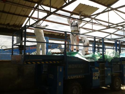 Allevamenti Avicoli Feletti Immobiliare. Morsano al Tagliamento (PN)