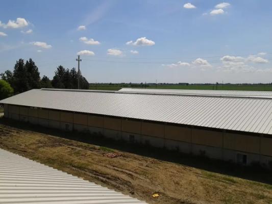 Feletti Immobiliare. Morsano al Tagliamento (PN)